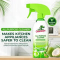 CLEANWAYS Multi-Purpose Cleaner Spray Stain Remover Home Office Surface Cleaning