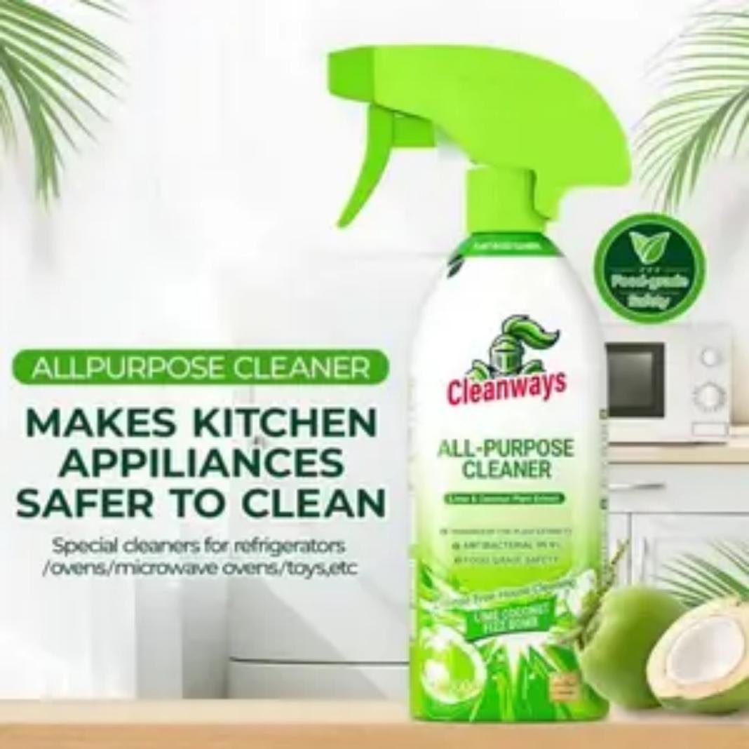 CLEANWAYS Multi-Purpose Cleaner Spray Stain Remover Home Office Surface Cleaning