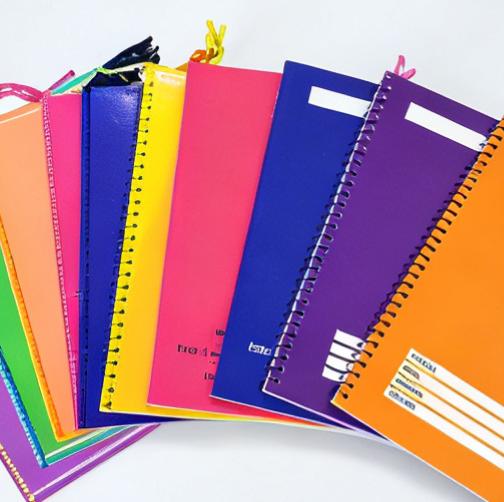 BRIGHTS Notebook Variety Pack 10 Pad – Writing/Composition/Spiral/Yarn